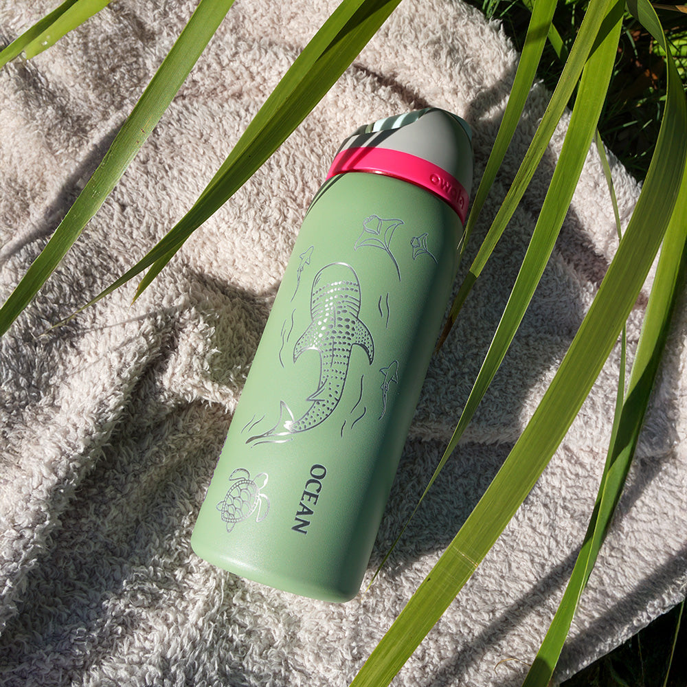 1L Owala Style Water Bottle-Whale Shark-Laser Engraved