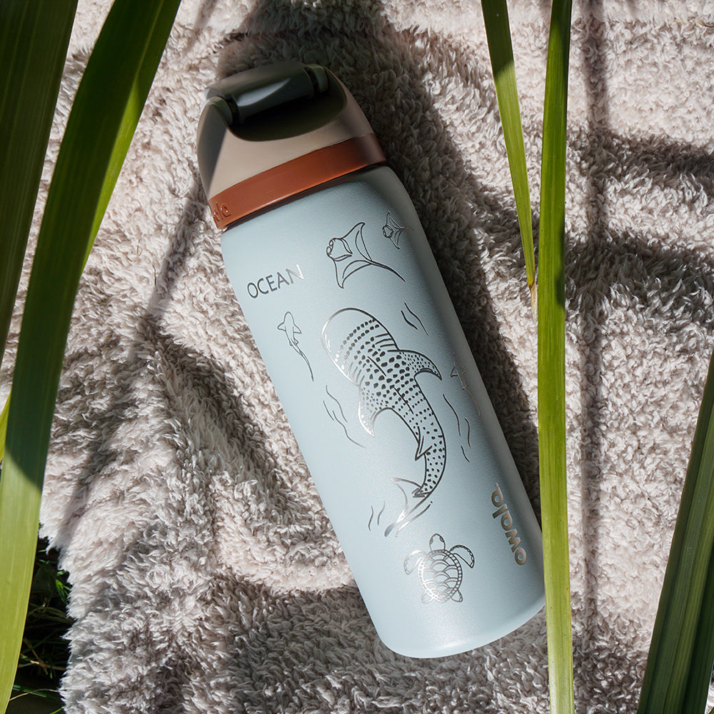 950ml Owala Style Water Bottle-Half Wrap-WHALE SHARK