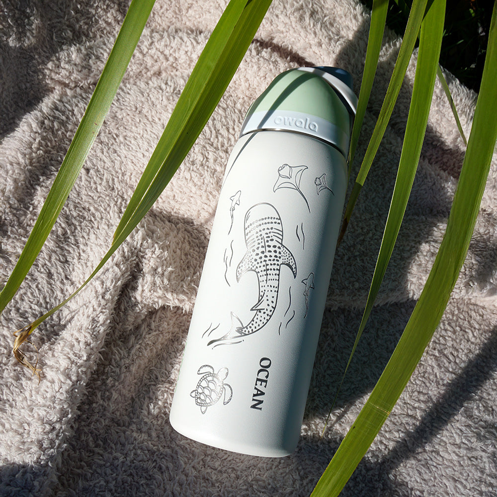 1L Owala Style Water Bottle-Whale Shark-Laser Engraved